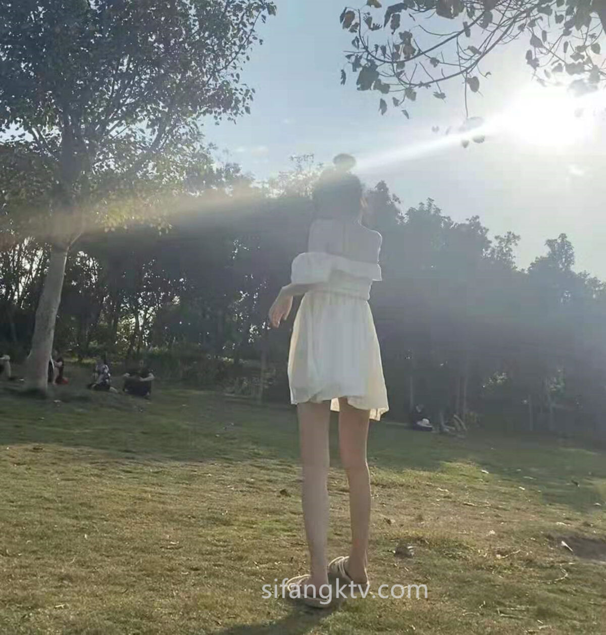 国产精品免费久久久久影院